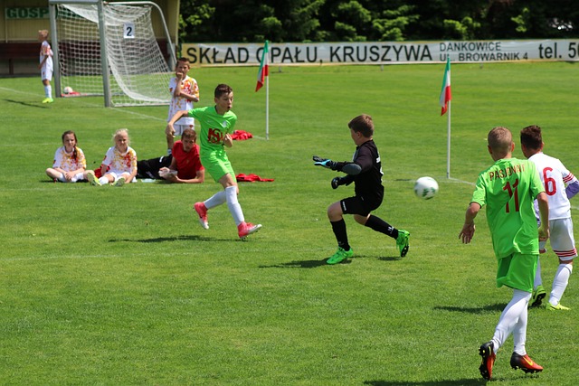 中央的歌手 中央的歌手