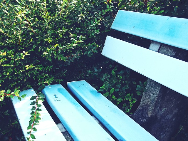 要么续约 要么续约