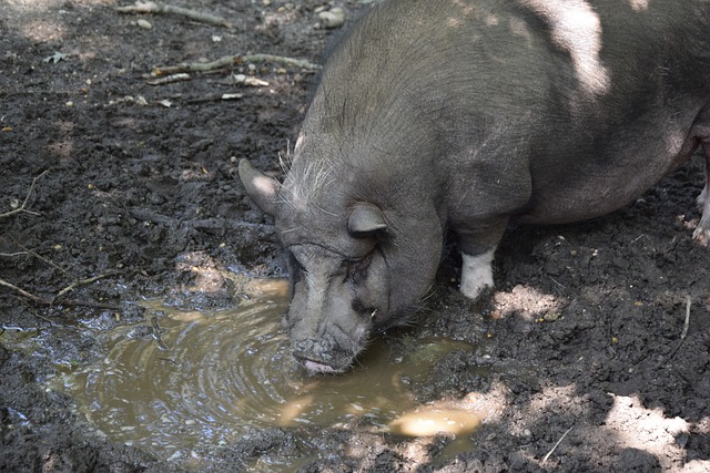 及他的成长 及他的成长