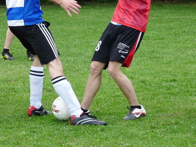 的多元化理 的多元化理